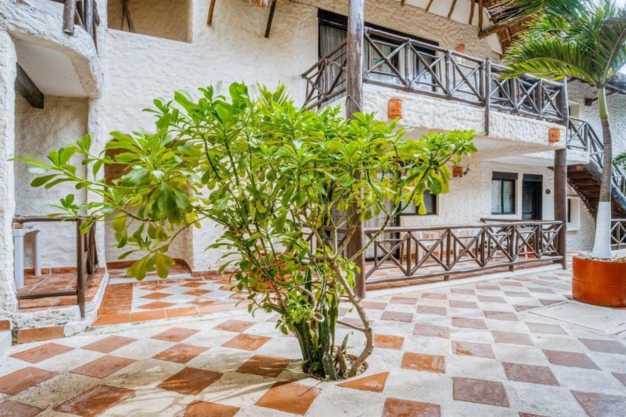 فندق Capital O Mimi Del Mar, بلايا ديل كارمن المظهر الخارجي الصورة A plant in a courtyard